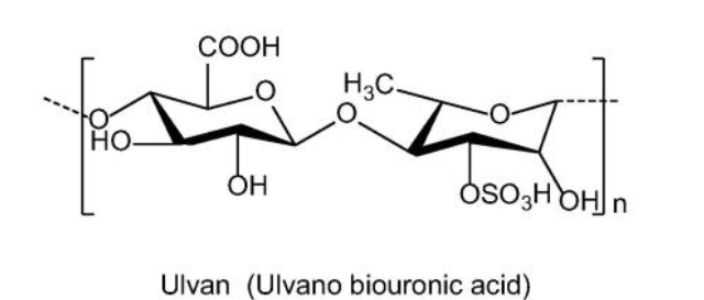 chemical chain for ulvan