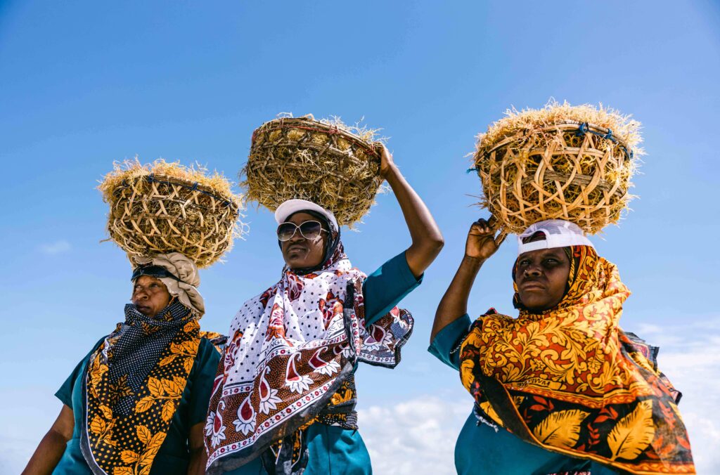 Seaweed farming in Somalia